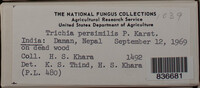 Image Associated With the Occurence